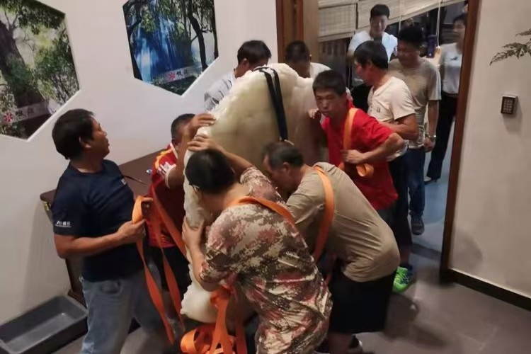 ���ں��˰�ҹ�˾